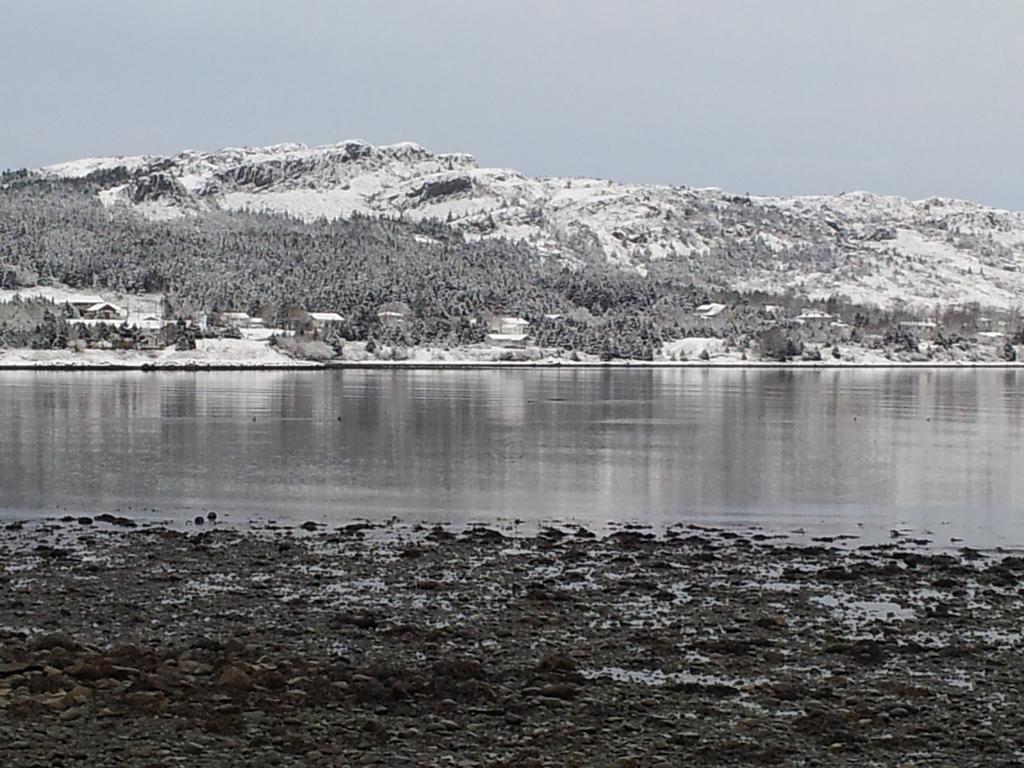 The Spaniards Room Heritage Home Spaniards Bay Buitenkant foto
